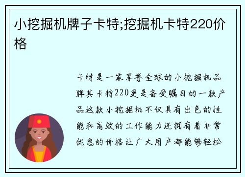 小挖掘机牌子卡特;挖掘机卡特220价格